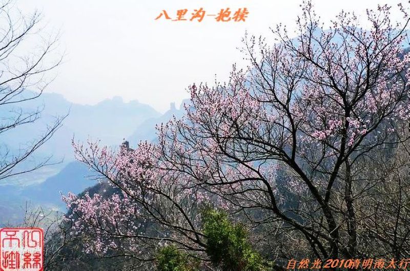l1100410.jpg