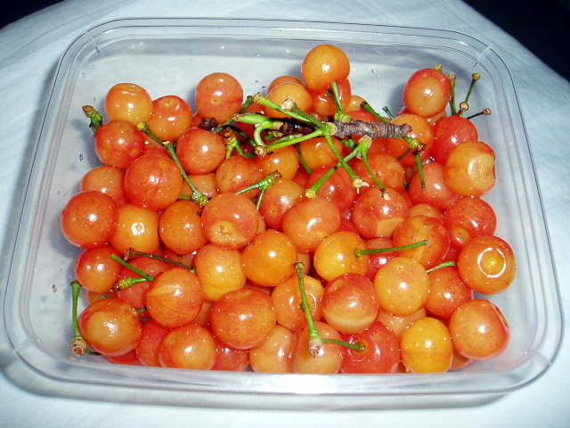 p1011280.jpg