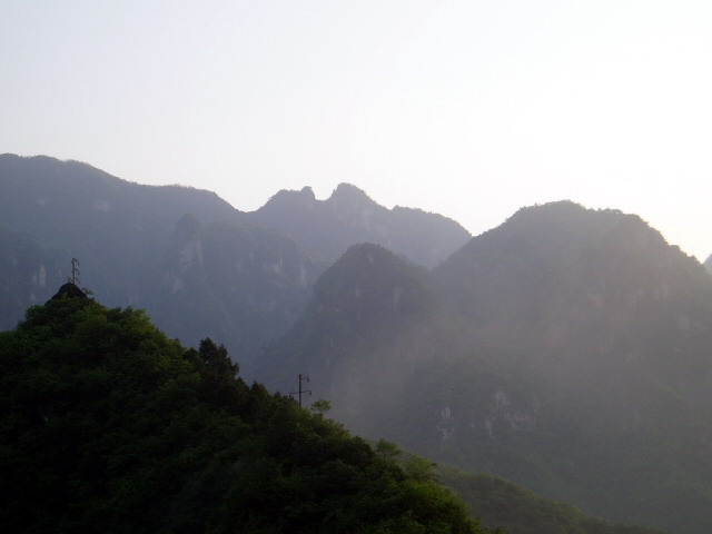 p1011275.jpg