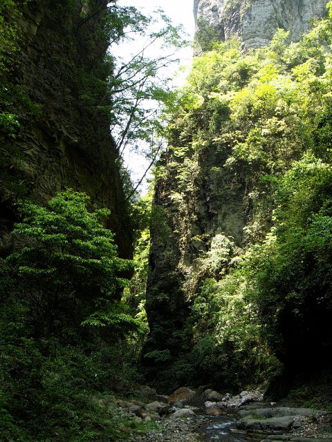 p1011258.jpg