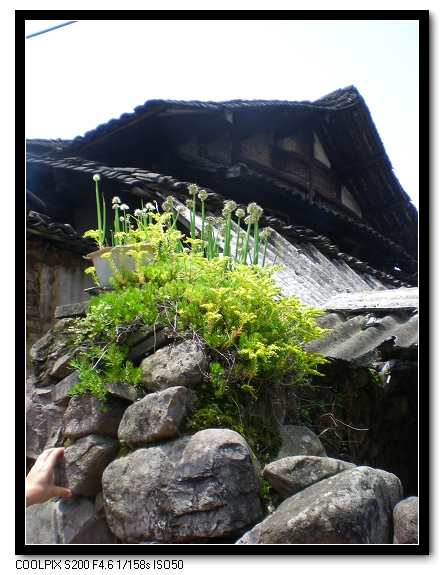 dscn6393.jpg