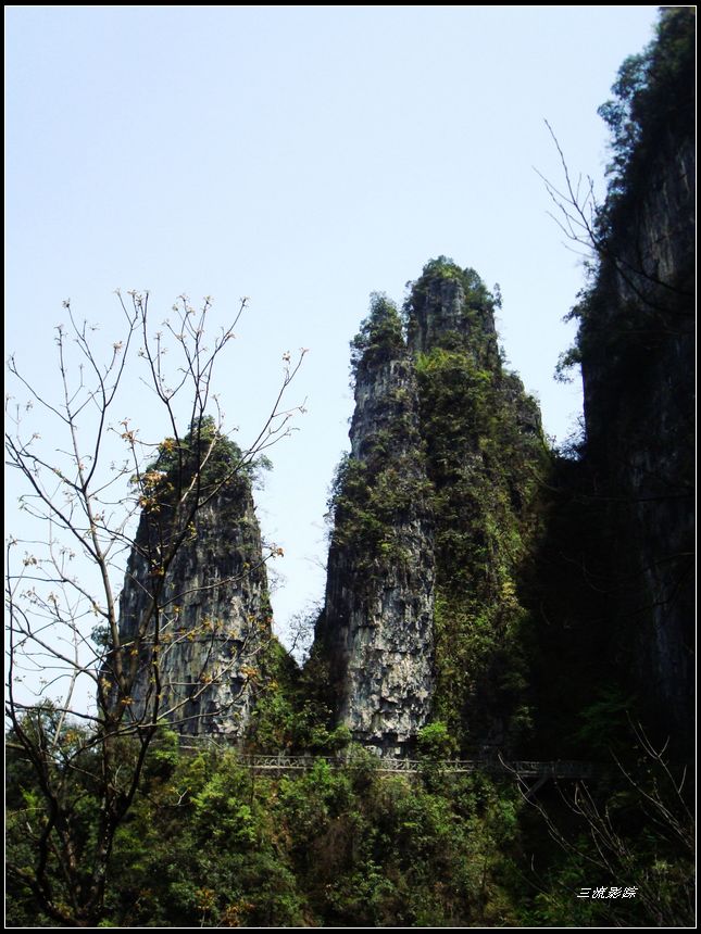 neo_img_dsc03132.jpg