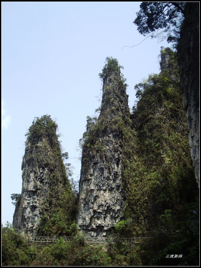 neo_img_dsc03145.jpg