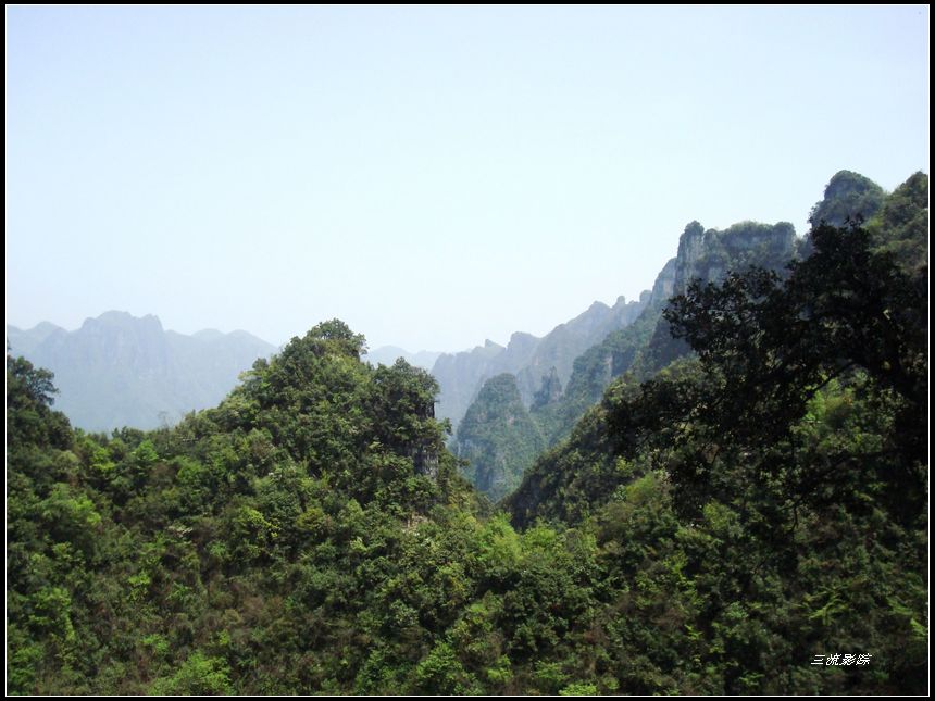 neo_img_dsc03161.jpg