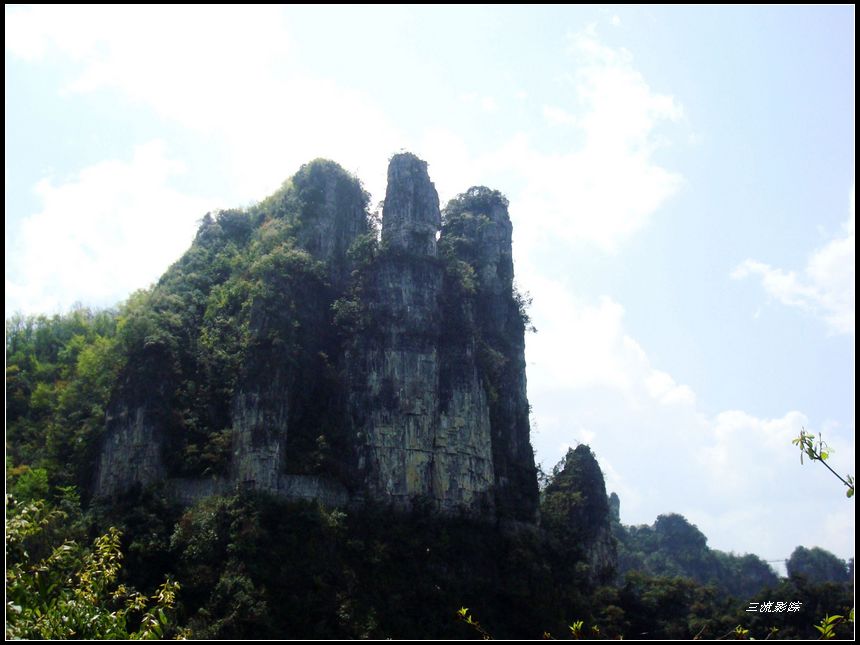 neo_img_dsc03219.jpg