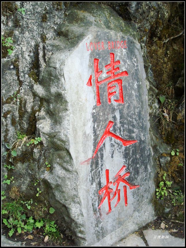 neo_img_dsc03239.jpg
