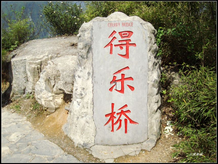 neo_img_dsc03322.jpg