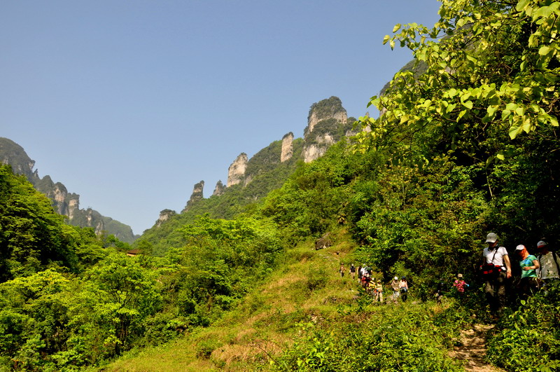 dsc_0154Φʯѹ.jpg