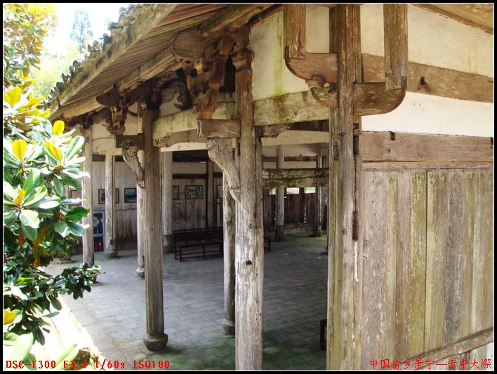 dsc00889.jpg