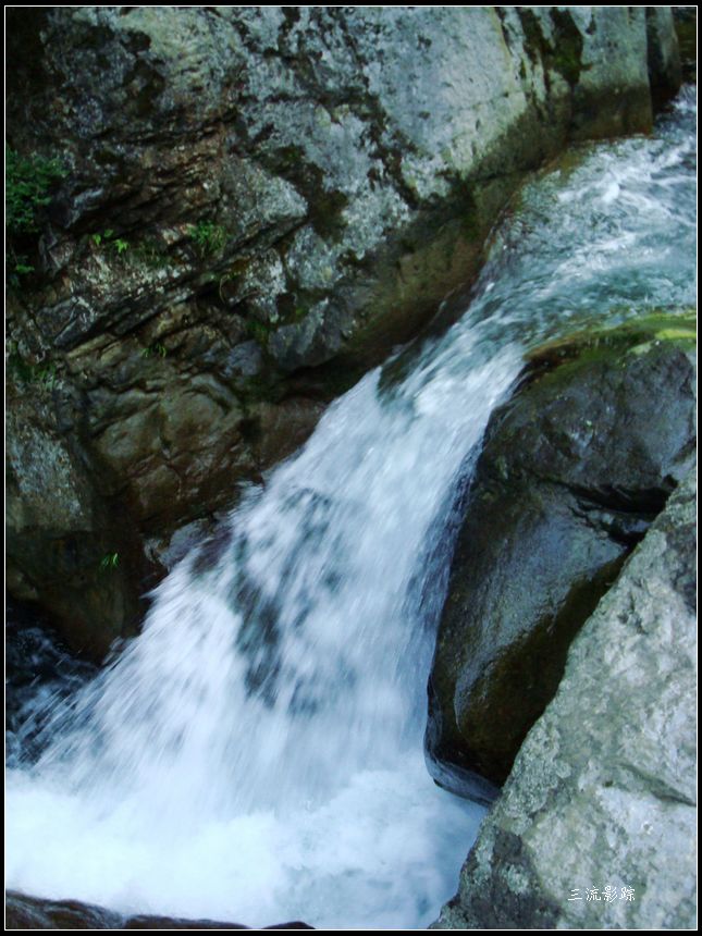 neo_img_dsc03550.jpg