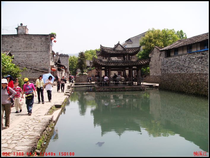 dsc00572.jpg