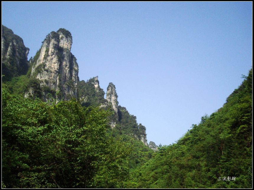 neo_img_dsc03686.jpg