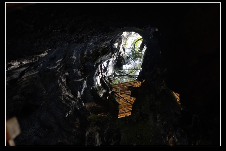 dsc_0382.jpg