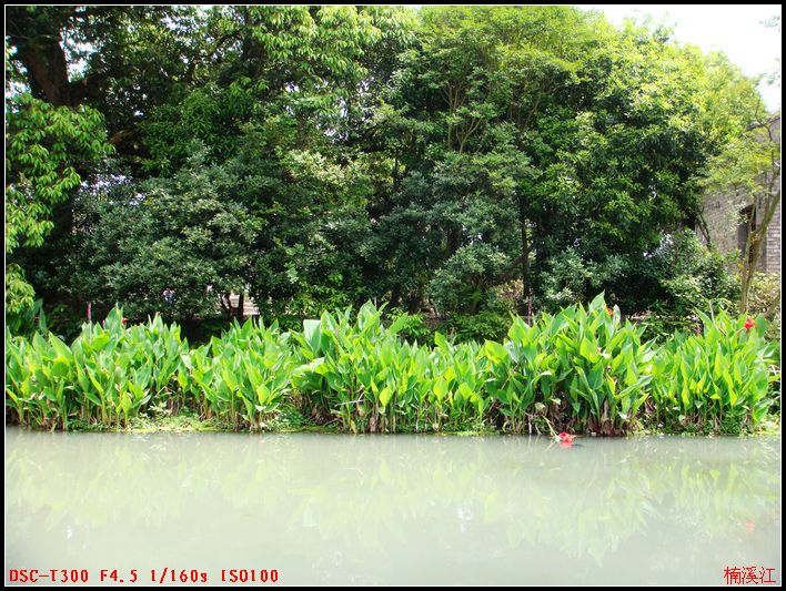 dsc00607.jpg