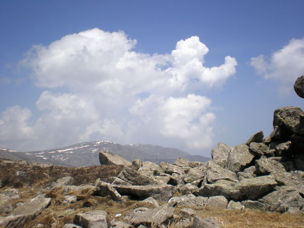 ʯ2.jpg