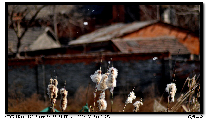 dsc_0612.jpg
