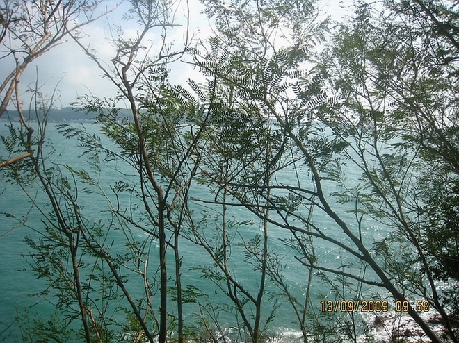 Ƭ 019-.jpg