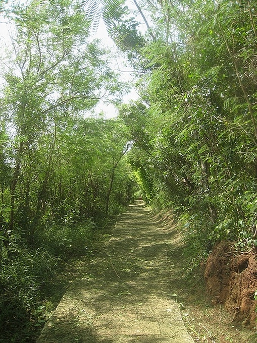 Ƭ 028.jpg