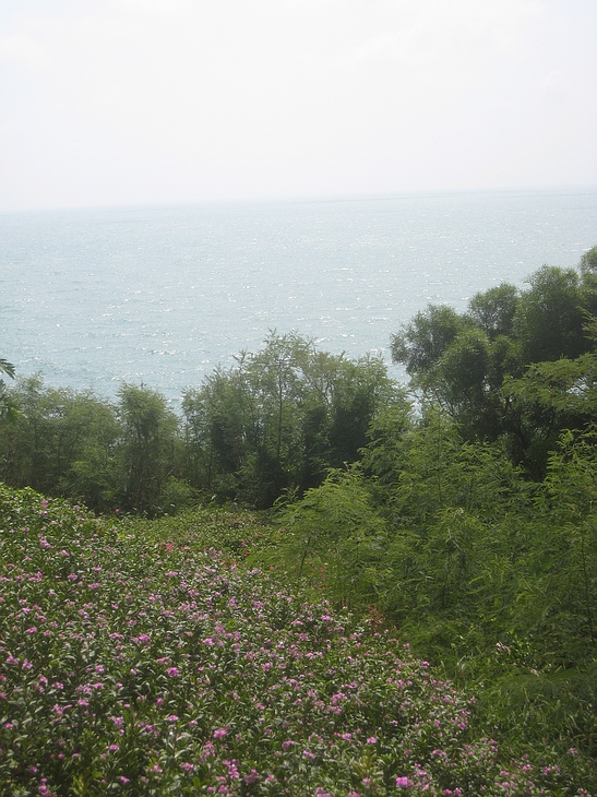 Ƭ 024.jpg