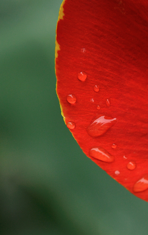 dsc_0059.jpg