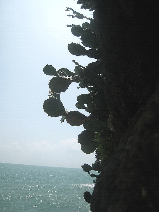 Ƭ 063.jpg
