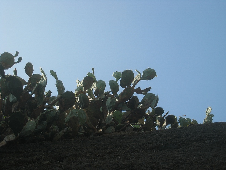 Ƭ 067.jpg