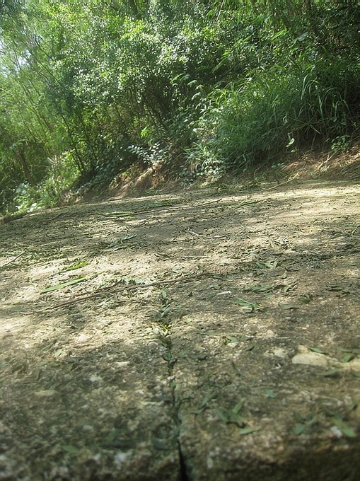 Ƭ 068.jpg