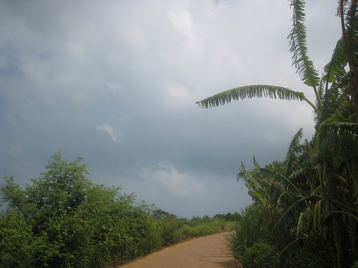 Ƭ 078.jpg
