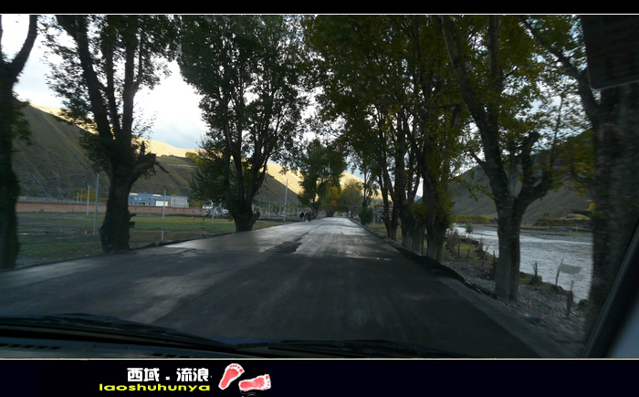p1100511.jpg
