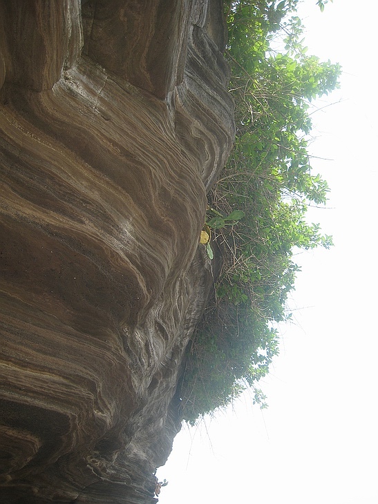 Ƭ 097.jpg