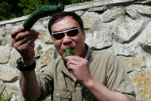 p1120221.jpg