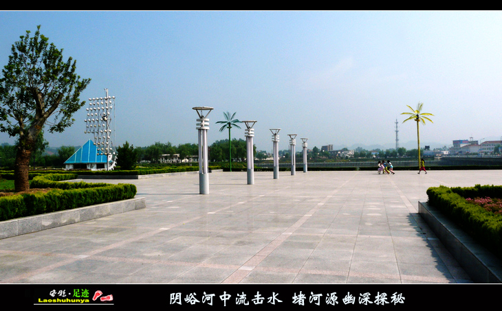 p1120224.jpg