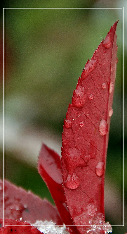dsc_0120.jpg