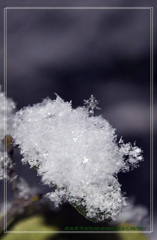 dsc_0578.jpg
