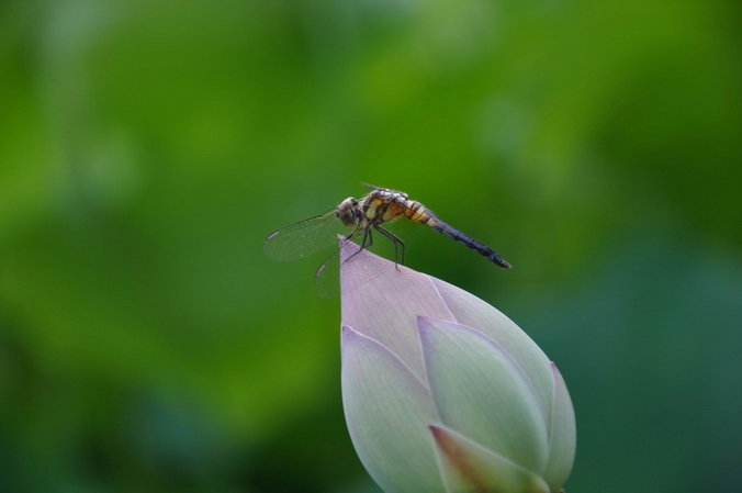 dsc_0023.jpg