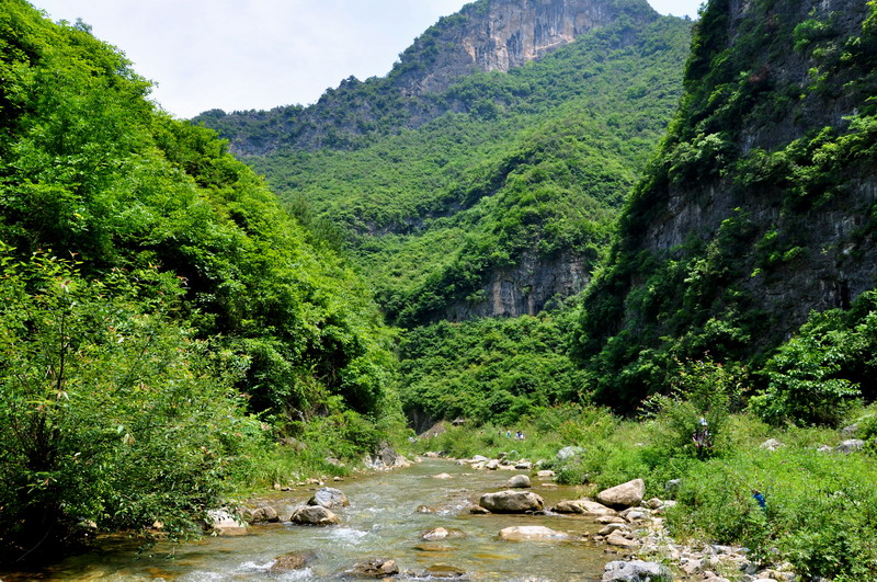 dsc_0131﹵.jpg
