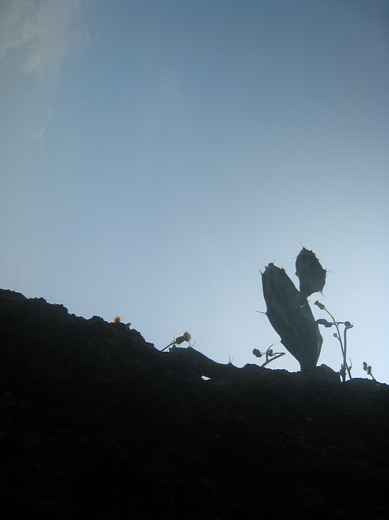 Ƭ 057.jpg