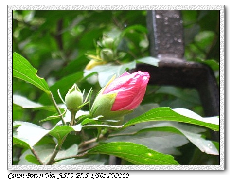 100_0310 .jpg