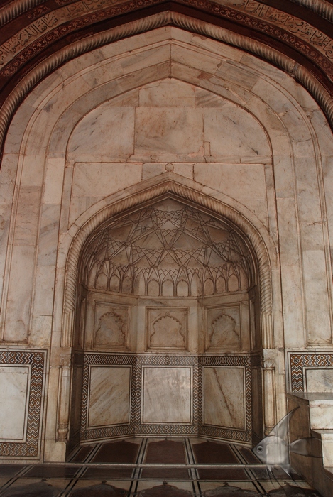 11091146.jpg