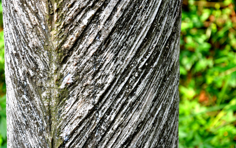 dsc_0015_副本.jpg