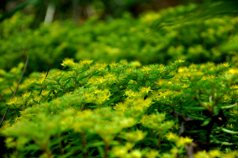 dsc_0133_副本.jpg