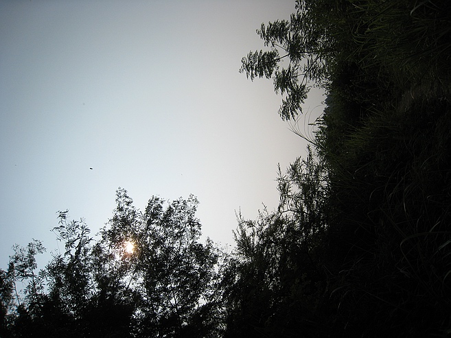 Ƭ 144.jpg