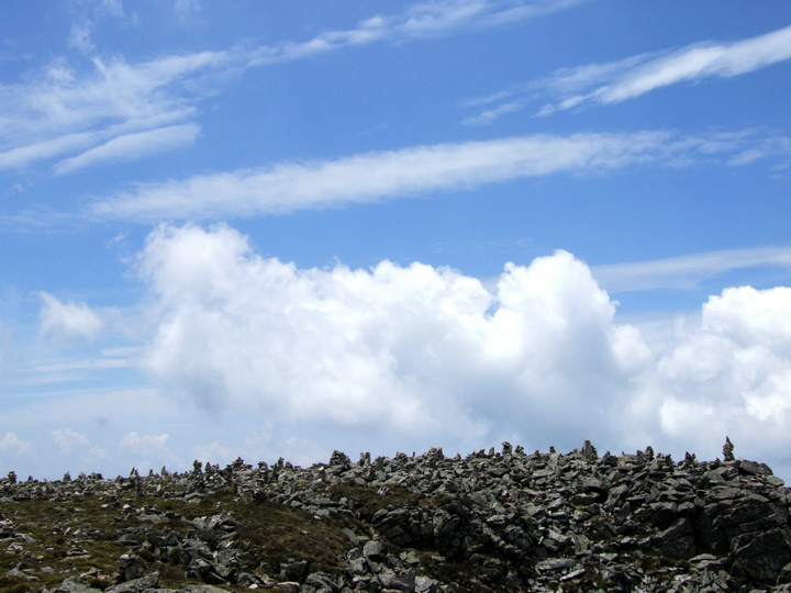 dscf7446.jpg