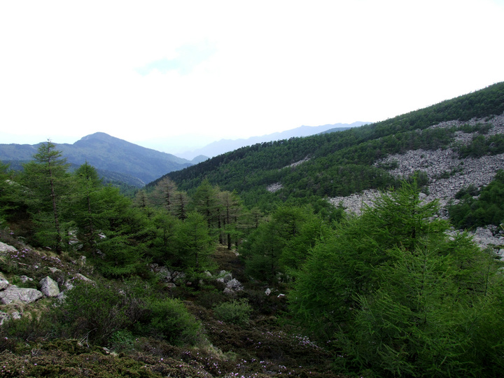 dscf7468.jpg