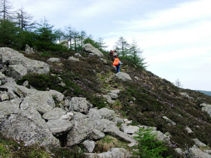 dscf7469.jpg