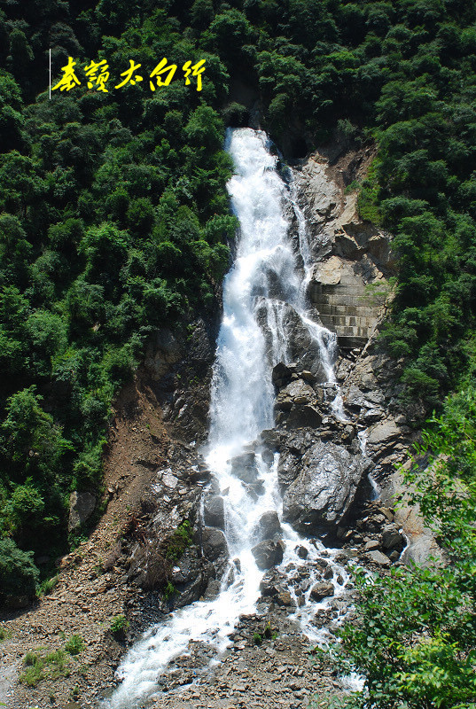 dsc_0006.jpg
