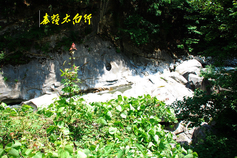 dsc_0012.jpg