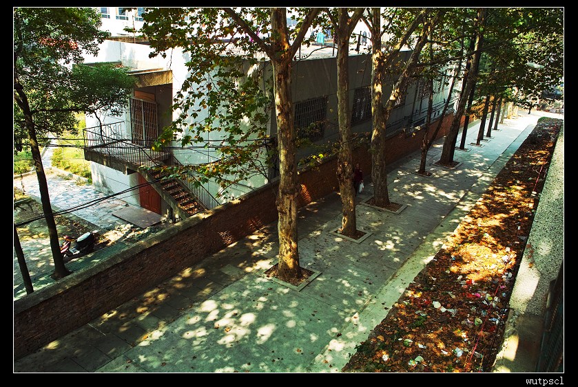 sdim0904.jpg