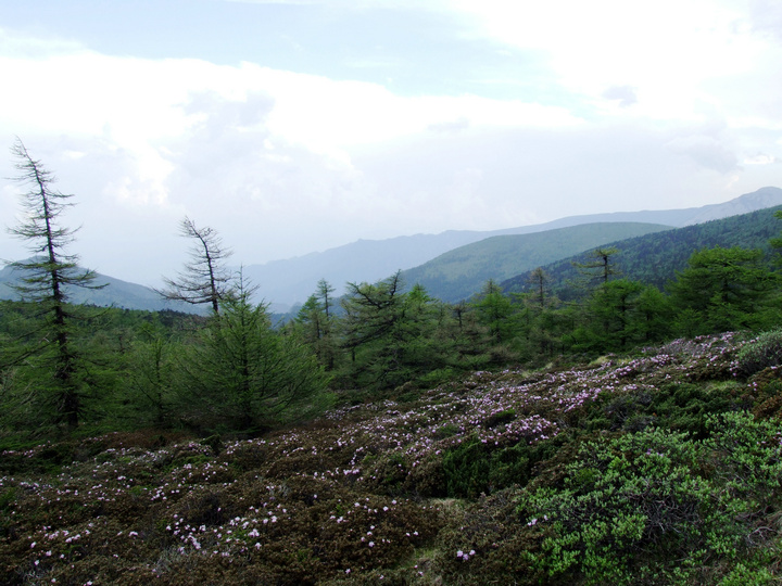 dscf7471.jpg