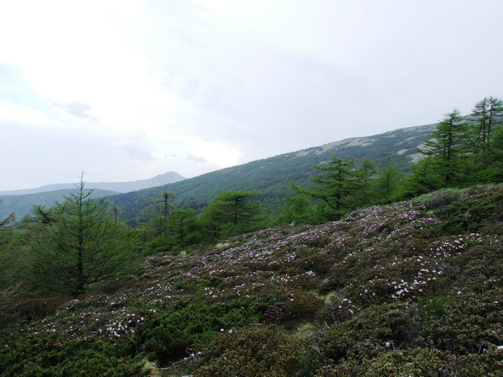 dscf7473.jpg